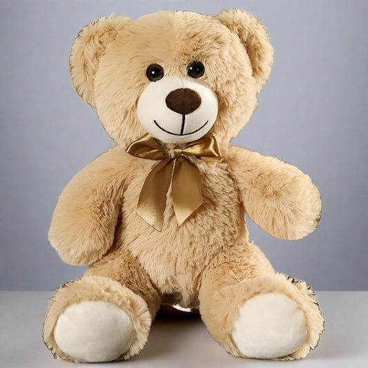 The Huggle Teddy Bear Front